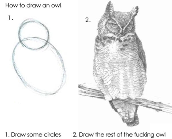austin-owl