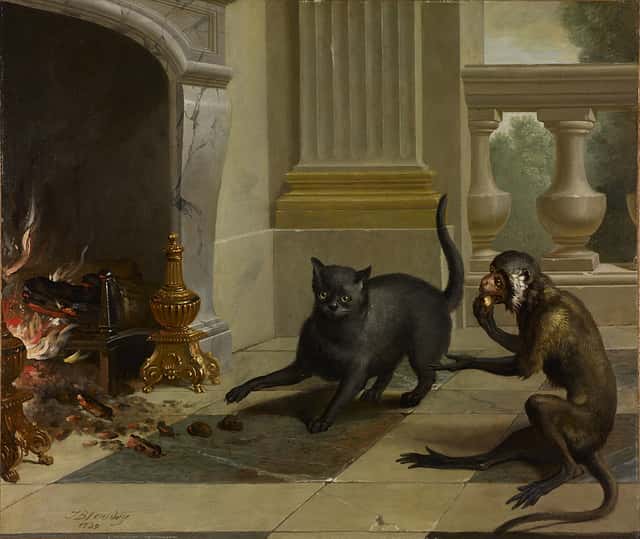 cat and the monkey painting by Oudry