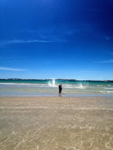 crystal clear new zealand ocean