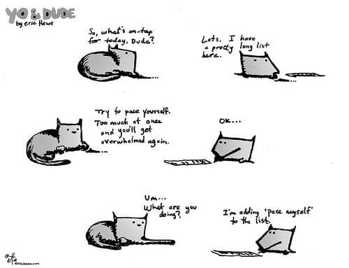 procrastinating cat cartoon