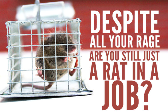 lab rat trapped in a cage