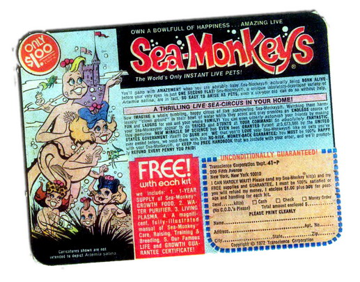 vintage sea monkey advertisement