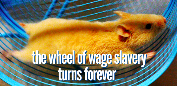 hamster wheel